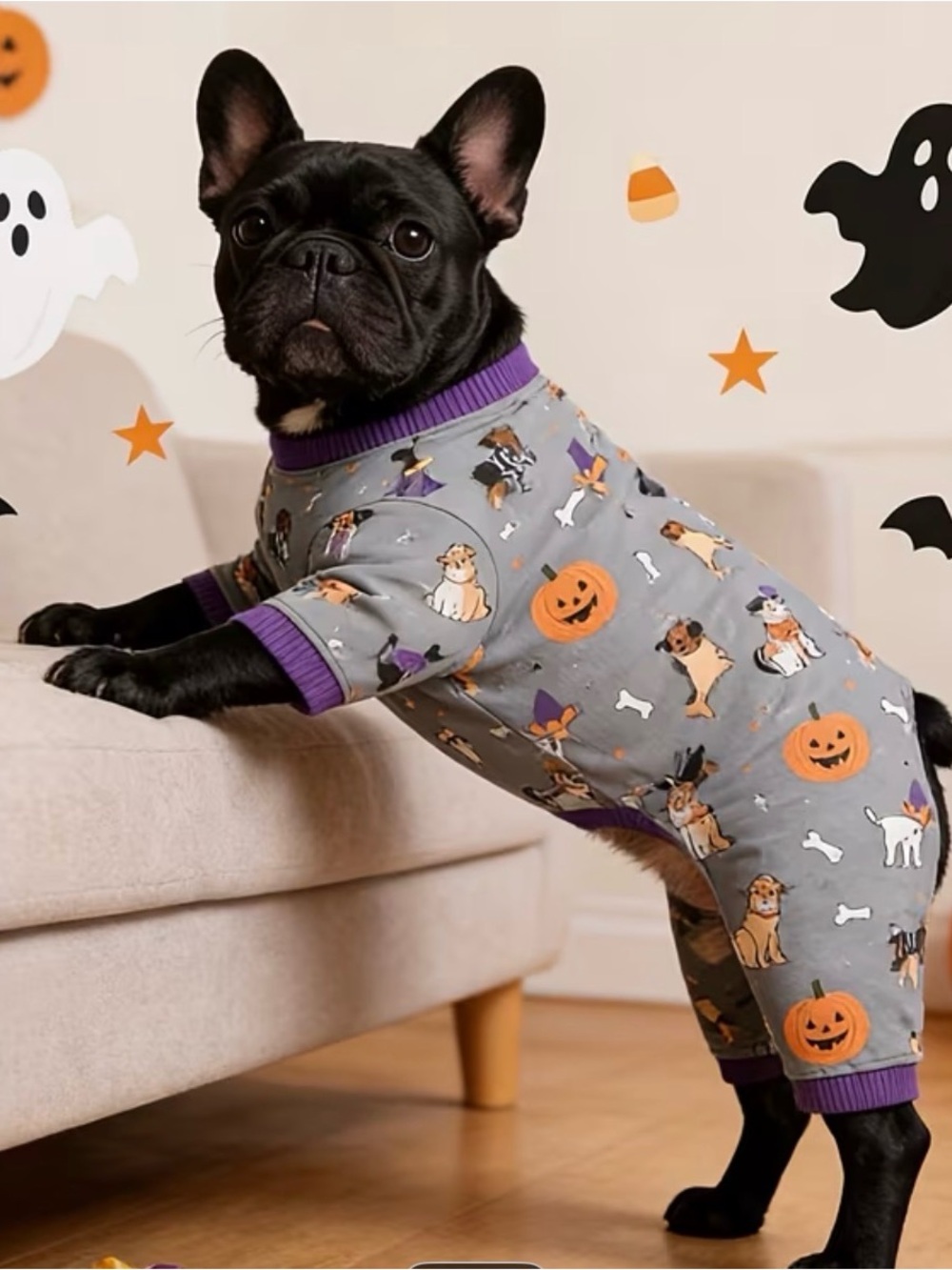 BN sz M dog pajama/costume Halloween Gray and Purple Pumpkin